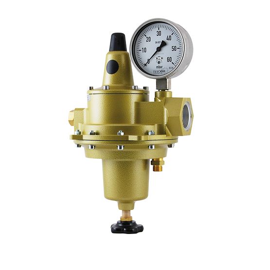 TESCOM™ Regulus 4双级调压器
