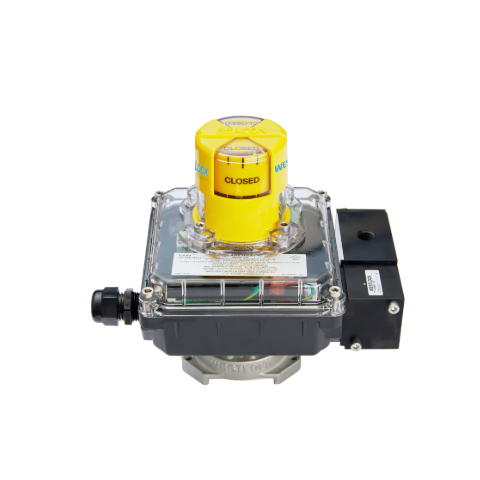 INTELLIS 3300/3600/8300/8600